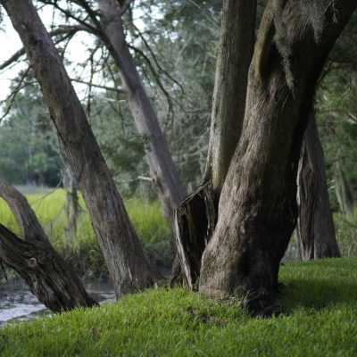 _dsc1717
